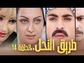 مسلسل طريق النحل الحلقة 14 الرابعة عشر بطولة ربا المأمون