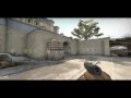 1v5 All Headshot CS:GO Ace with P2000