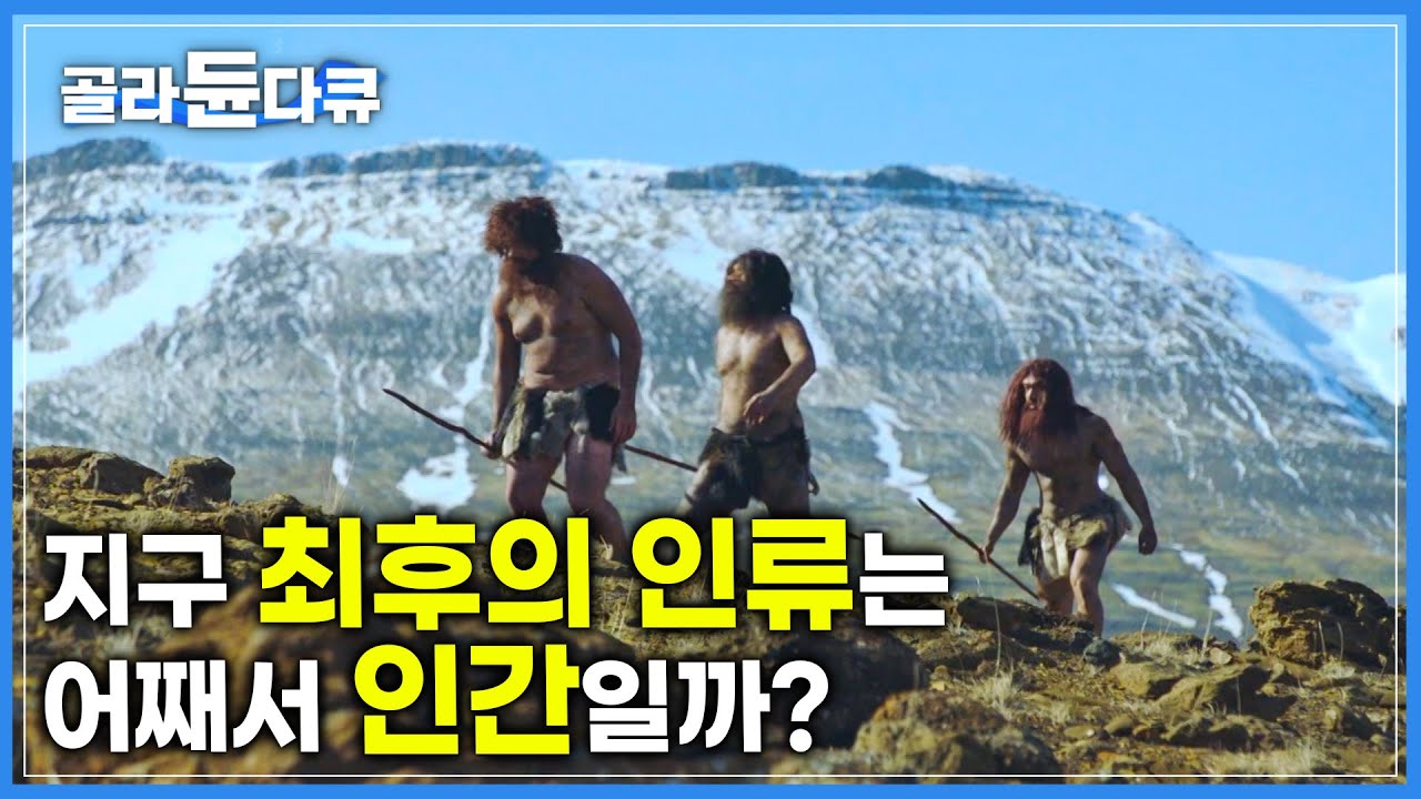 46억년 지구 역사의 수 많은 인류 중 유일하게 살아 남은 인간, 과연 인간의 경쟁자들은 어디로 사라진 것일까? | 멸종과 생존 | 다큐프라임 |#골라듄다큐