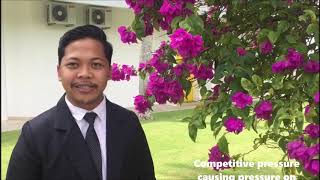 MAXIS COMPANY PROJECT