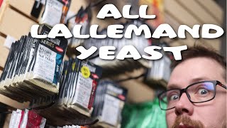 Every Lallemand Yeast and How I would Use Them!