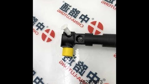 28229873 for Delphi Common Rail Diesel Injector