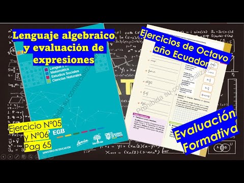 Lenguaje algebraico y evaluación de expresiones - Ejercicio Nº05 y Nº06(...