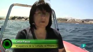 Agrosfera En clave rural Marina Lucense