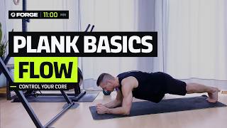 Plank Basics & Stability Flow | 11-Minute Core Workout