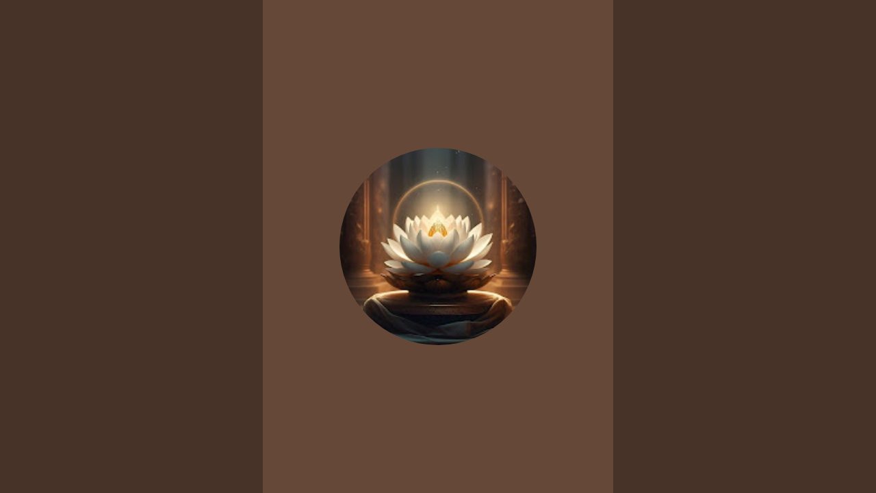 Divine Lotus 369 is live! - YouTube