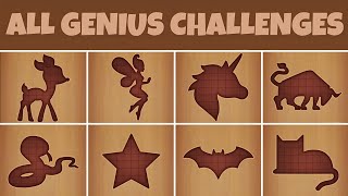 Blockpuz All 40 Genius Challenge Levels Walkthrough | NovemStars screenshot 1