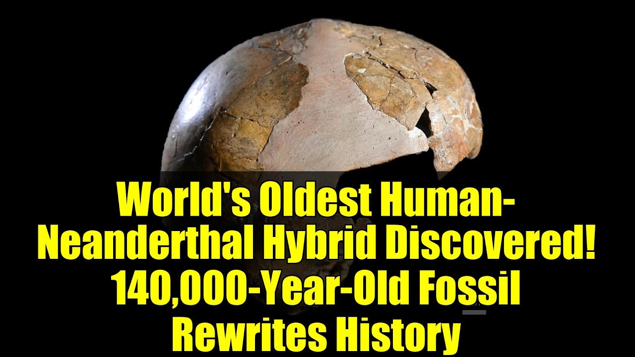 World's Oldest Human-Neanderthal Hybrid Discovered! 140,000-Year-Old Fossil Rewrites History