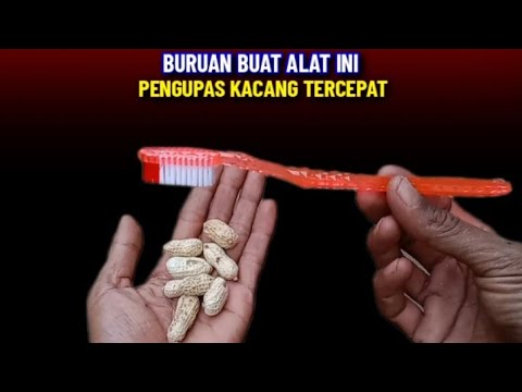 Cara Membuat Pengupas Kulit Kacang Tanah