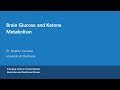 Dr.  Stephen Cunnane - Brain Glucose and Ketone Metabolism