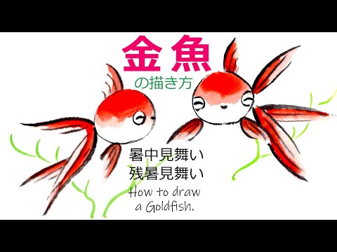 金魚の描き方 残暑見舞い 暑中見舞い 絵手紙教室くぼ田 金魚の描き方 残暑見舞い 暑中見舞い 絵手紙教室くぼ田