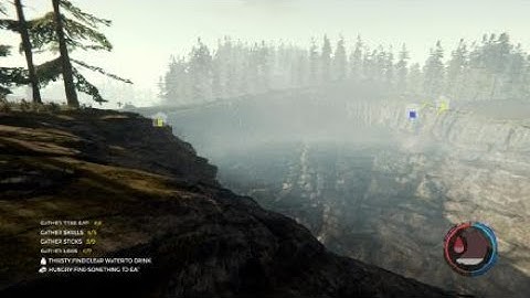 Zipline over the Sinkhole (The Forest on PS4 )