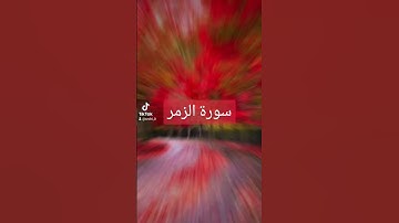 سورة الزمر #دعاء #صباح_الخير #تيك_توك #دعاءمستجاب #لايك #اسلام #حالات_واتس #اسلاميات #فولو #دويتو