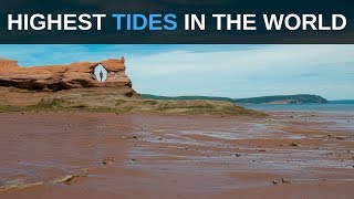 Highest Tides in the World