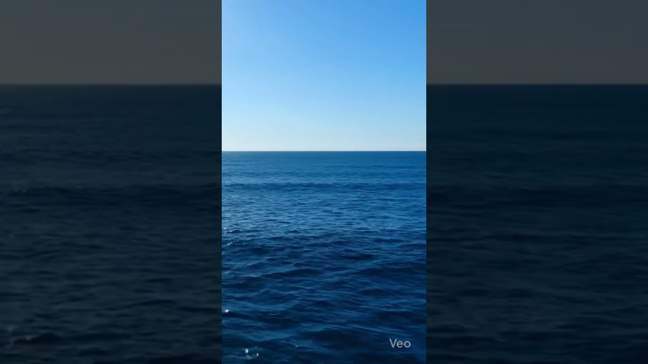 shimmering water🐳