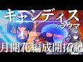 【原神】キャンディス×ラウマ月開花編成開拓記　#genshinimpact #原神