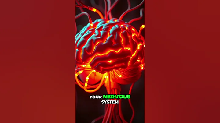 Anxiety & Vitamin Deficiency: The Hidden Truth #shorts