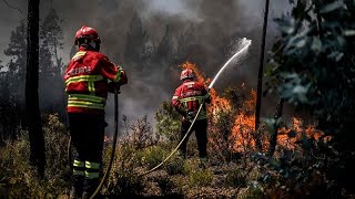 Portugal wildfires: hundreds of firefighters tackle blaze in Odemira