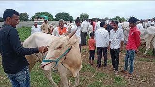 अतशय दखण आण जतवत खललर रजरबजरत जरबलबजर