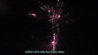 MS5021 0616