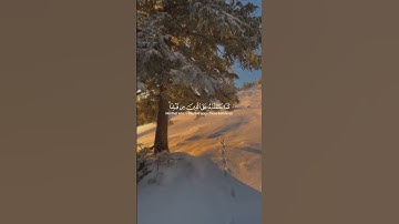خواتيم سورة البقرة -  لا يكلف الله نفسا الا وسعها - محمد هشام #quran #قران #محمد_هشام