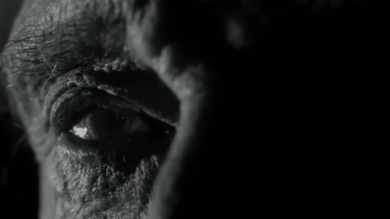 "L'éternel rockeur" Clip hommage à Johnny Hallyday par @HoracioTours collaboration