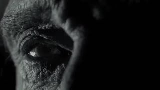 Léternel rockeur Clip hommage à Johnny Hallyday par @HoracioTours collaboration