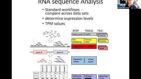 Transcriptomics Proteomics