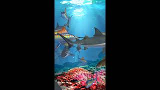 TOP AQUARIUM FISHING HOOK MOBIRIX 2018 I screenshot 1
