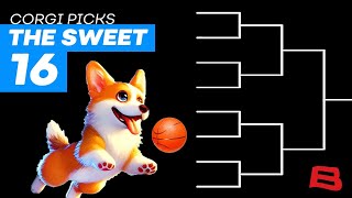 TRICKSHOTTING CORGI PREDICTS THE SWEET 16 BRACKET | AIRCORG 👀