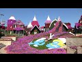 Дубай . Сад цветов Miracle Garden.