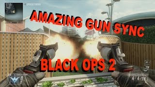 AMAZING BO2 Gun Sync screenshot 4