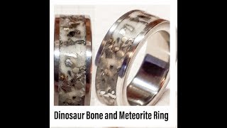Titanium Ring with Dinosaur Bone and Meteor