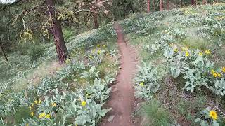 My Story 2 Canyon down Stairway1
