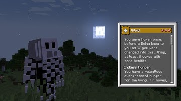 Minecraft Origins Mod: Xvoid - Reforged (Custom Origin Showcase)