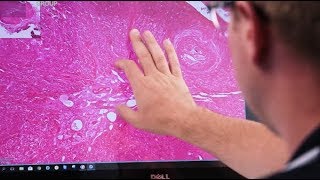 M8 - The Ultimate Collaboration Digital Microscope & Scanner