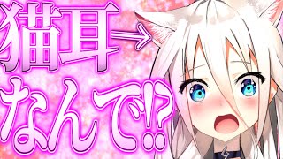 【ゆっくり茶番劇】　もしもまったりさんに猫耳が生えちゃったら！？