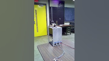 Rotary Inverted Pendulum Test