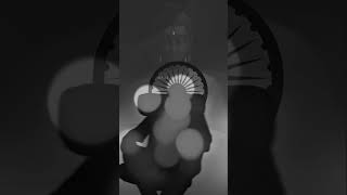 छप्पन्नची विजयादशमी विश्वात गाजली #youtubeshorts #viralvideo #viral ##song #love #songlyrics #rap