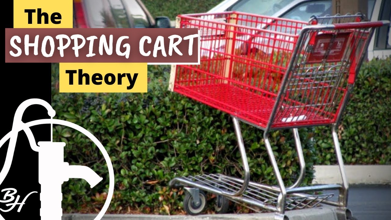 shopping cart theory essay