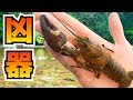 こんなハサミ、反則だろ