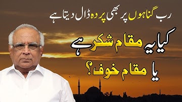 Why Allah Covers Sins? | مقامِ شکر یا مقامِ خوف؟