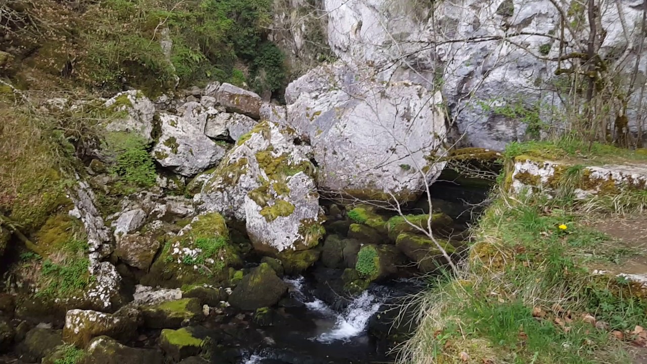 Nacederos del Larráun - Navarra
