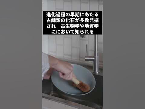 世界の名所 化石発掘多数 ワディ・アル・ヒタン YouTube