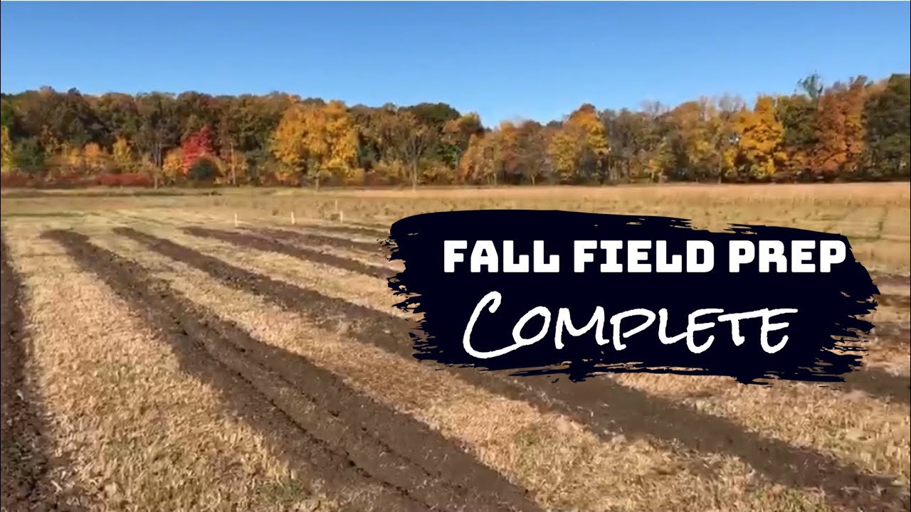 Planting Christmas Trees • Our 1st Fall Prep COMPLETE | Michigan Pines Farm