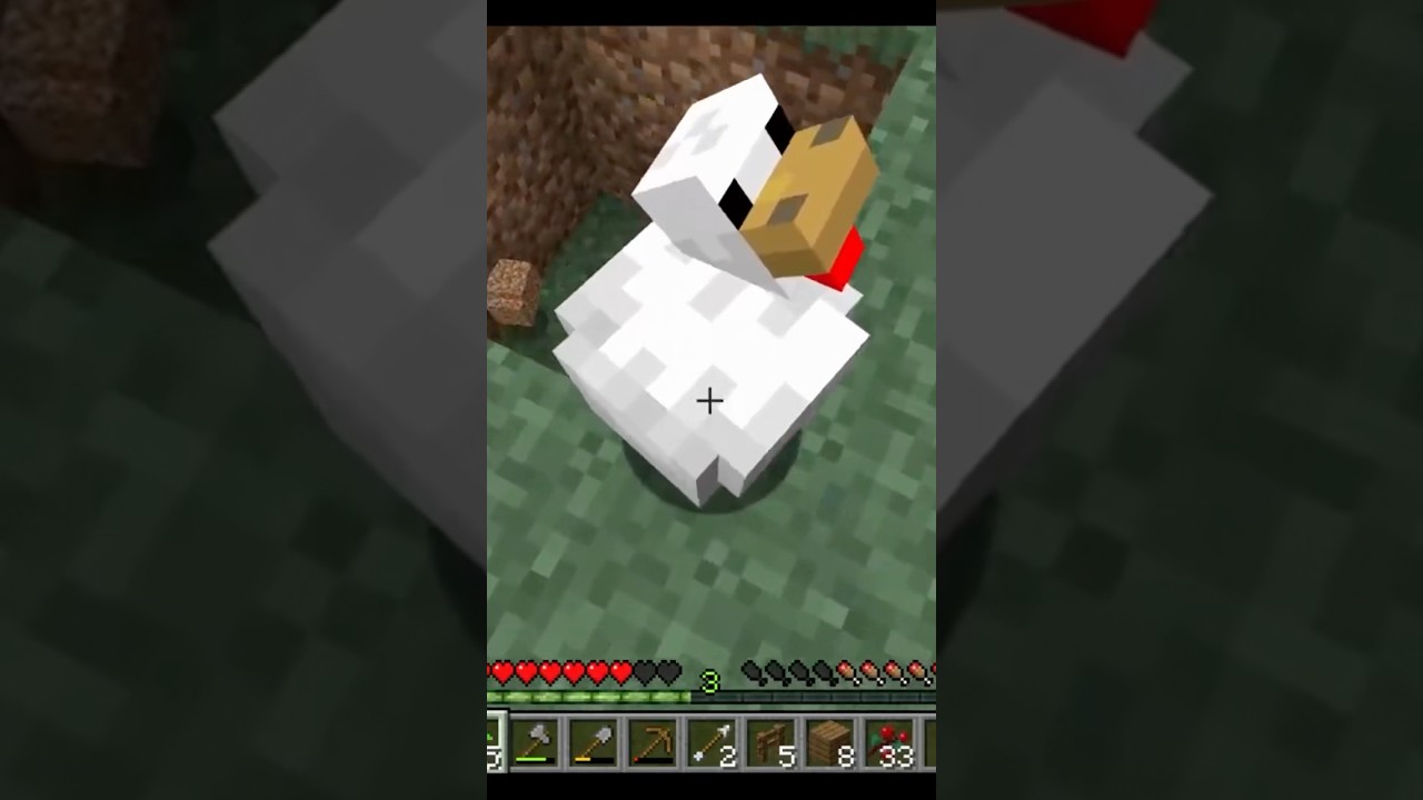 Caught some chickens