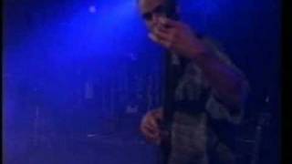 Watch Lemur Voice More Of Nothing video