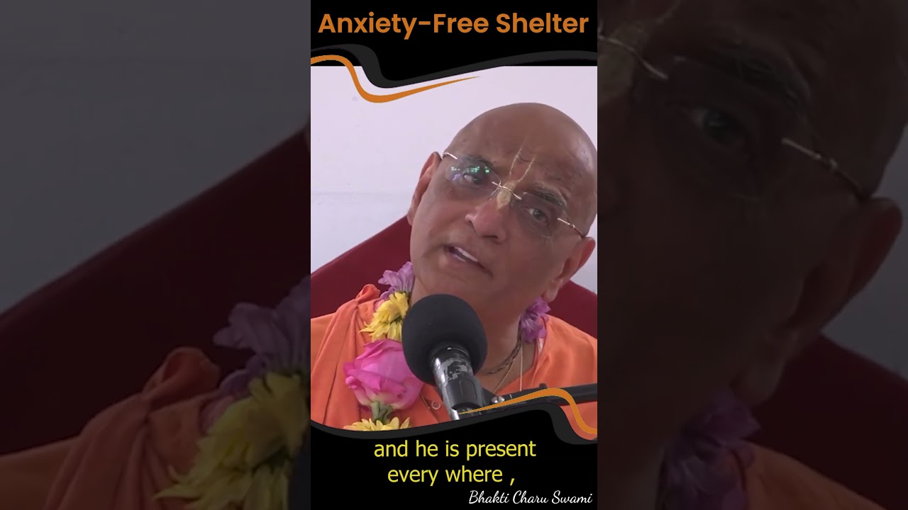 Anxiety-Free Shelter 