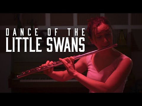 Dance of the Little Swans | SWAN LAKE