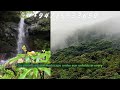 Gongala Hill Trekking Guide | Ethereal Sinharaja Resort | Sri Lanka Travel